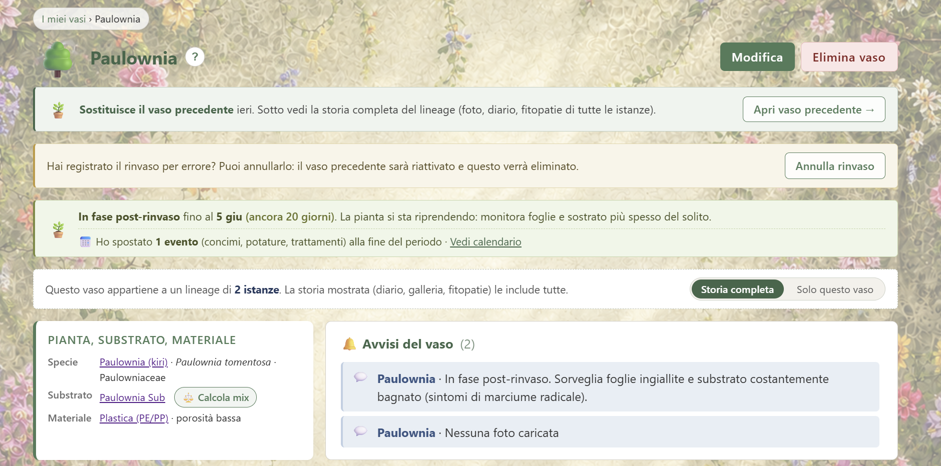 Vaso post-rinvaso con banner della finestra e pannello Lineage